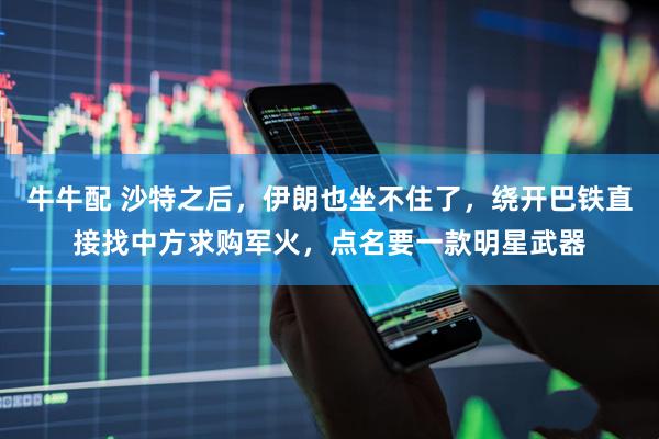 牛牛配 沙特之后，伊朗也坐不住了，绕开巴铁直接找中方求购军火，点名要一款明星武器