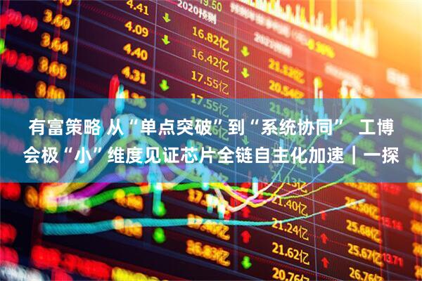 有富策略 从“单点突破”到“系统协同”  工博会极“小”维度见证芯片全链自主化加速︱一探