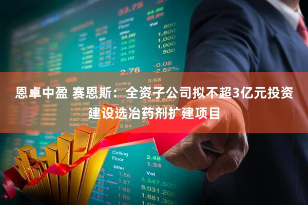 恩卓中盈 赛恩斯：全资子公司拟不超3亿元投资建设选冶药剂扩建项目