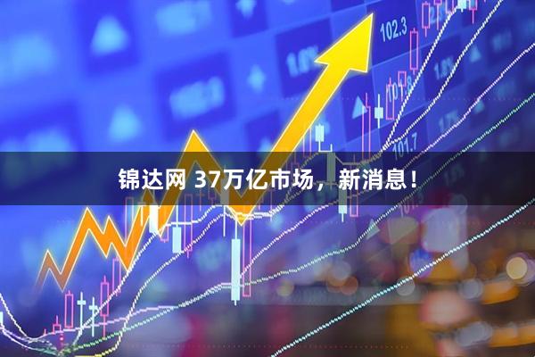 锦达网 37万亿市场，新消息！