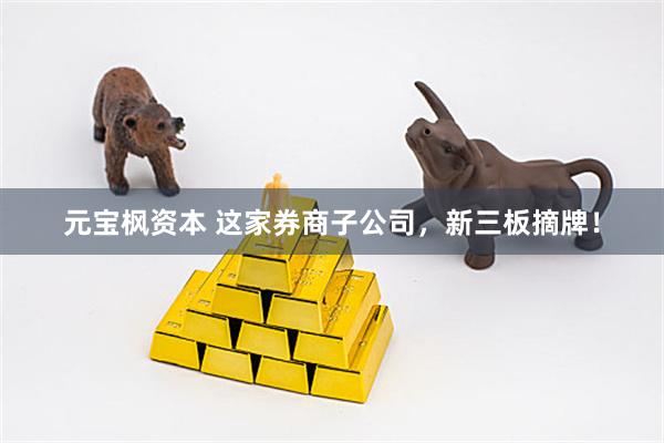 元宝枫资本 这家券商子公司，新三板摘牌！